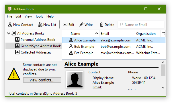 Screenshot: address book window with conflicts
